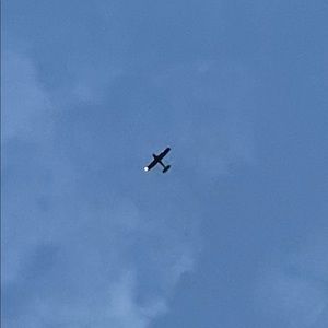 Meet your Posher, Ella